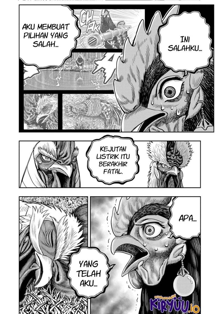 image-komik-rooster-fighter-chapter-34-20/41