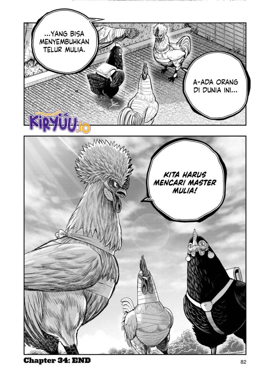image-komik-rooster-fighter-chapter-34-40/41