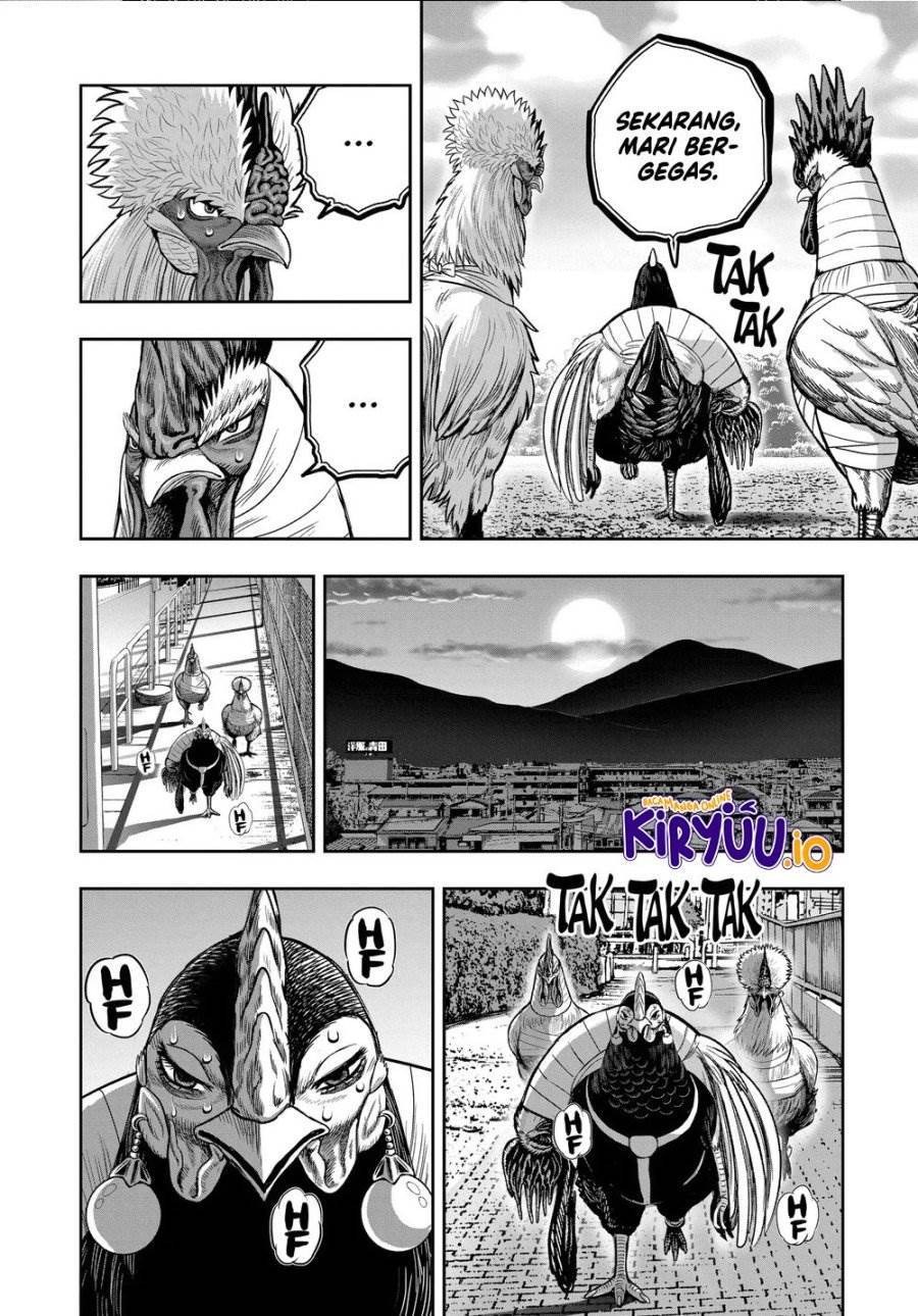 image-komik-rooster-fighter-chapter-35-8/31