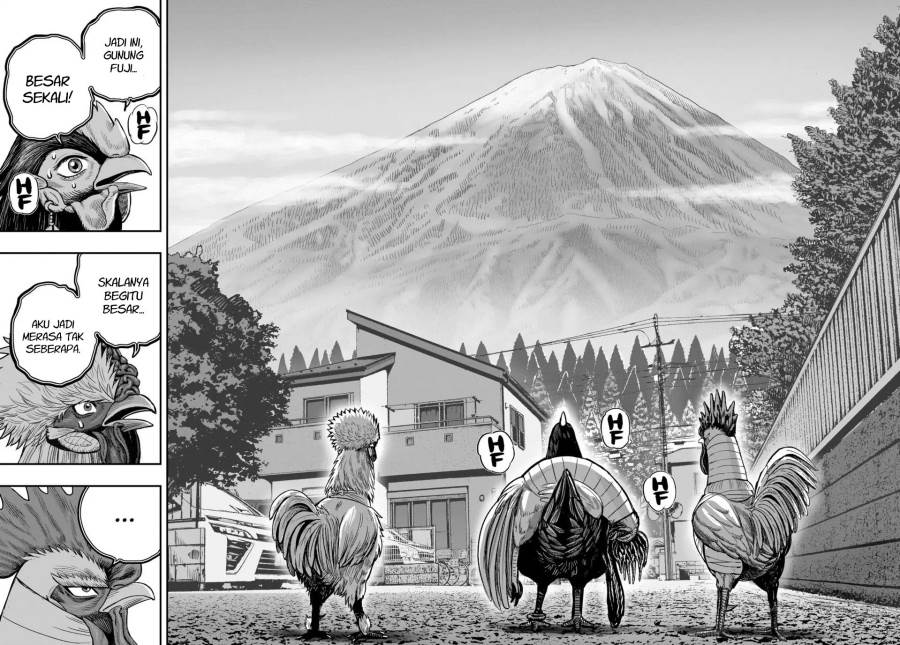 image-komik-rooster-fighter-chapter-36-16/62