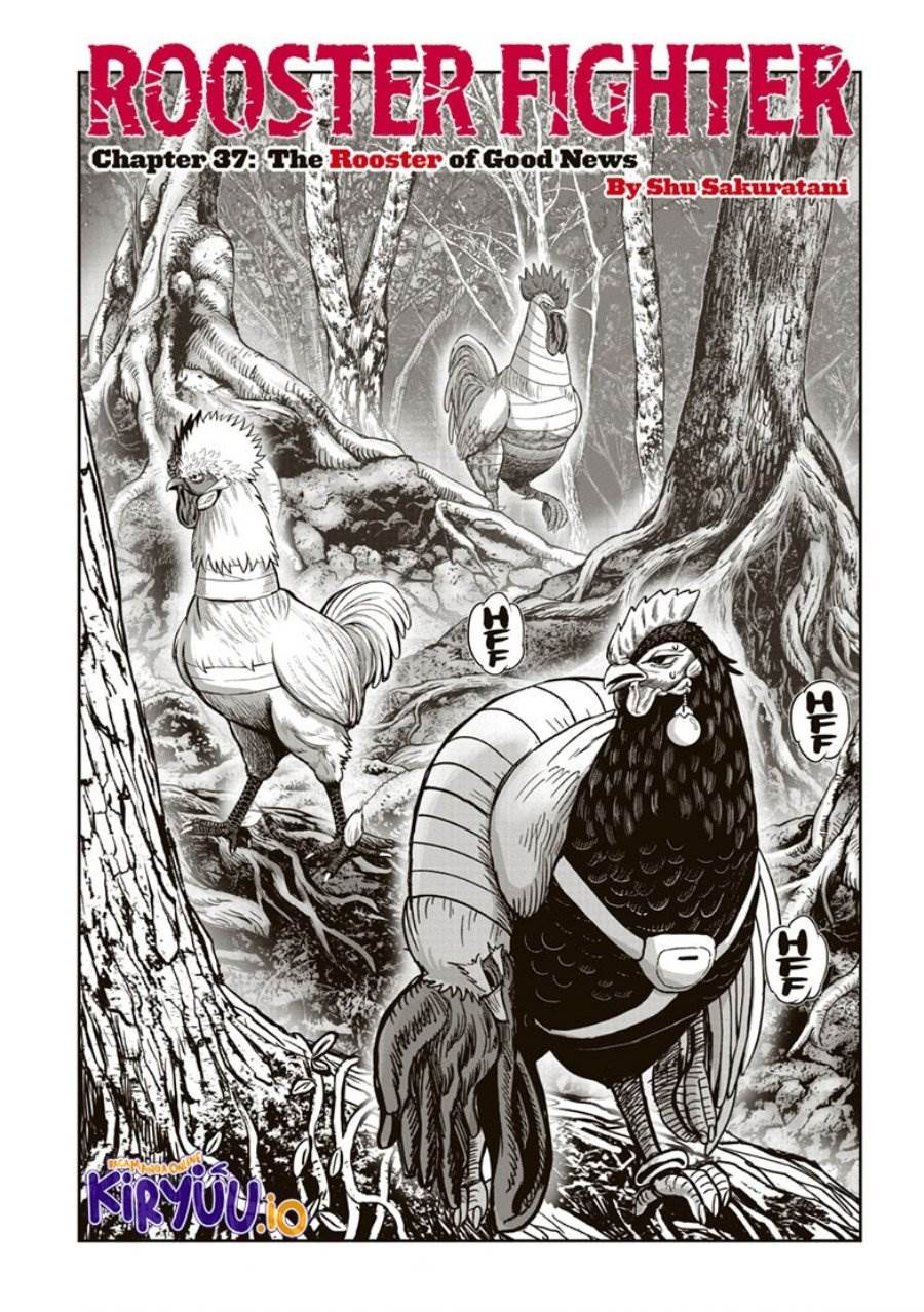 image-komik-rooster-fighter-chapter-37-1/43