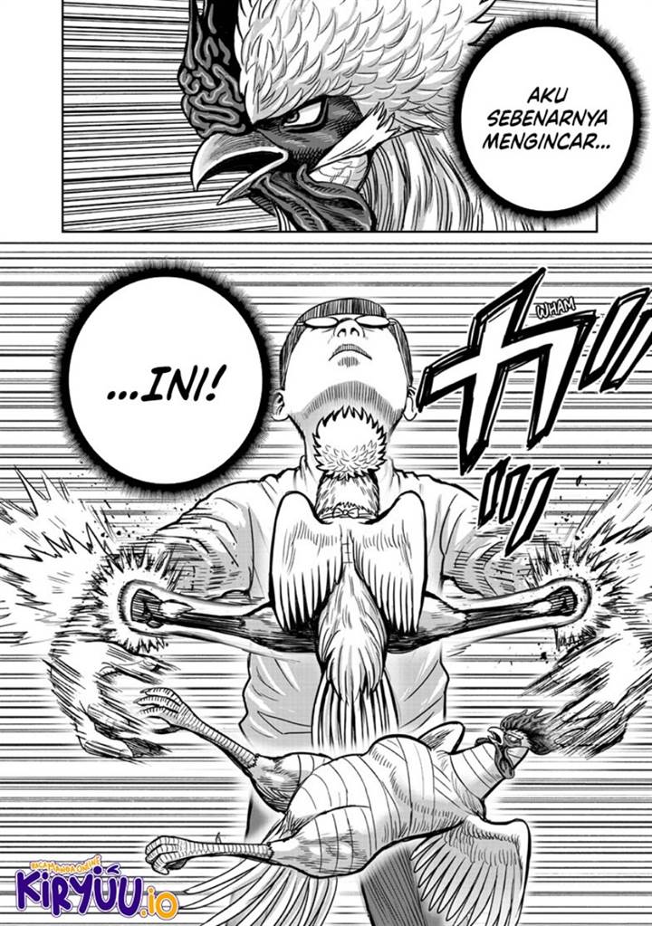 image-komik-rooster-fighter-chapter-39-24/49
