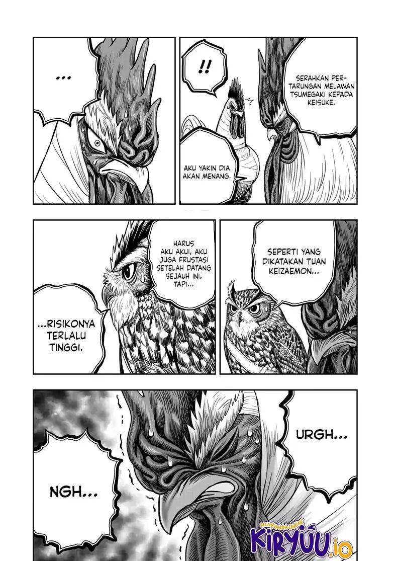 image-komik-rooster-fighter-chapter-48-31/33