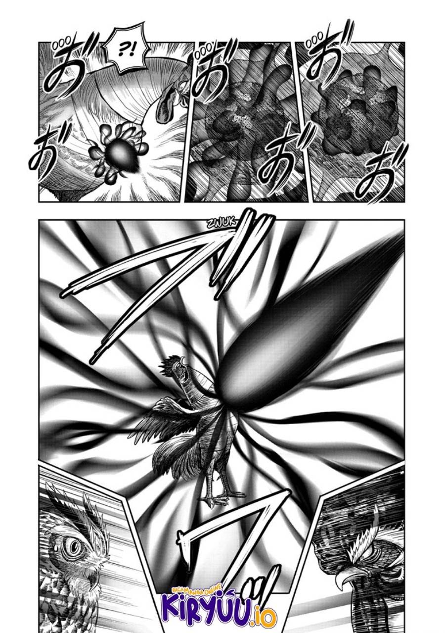 image-komik-rooster-fighter-chapter-49-7/39