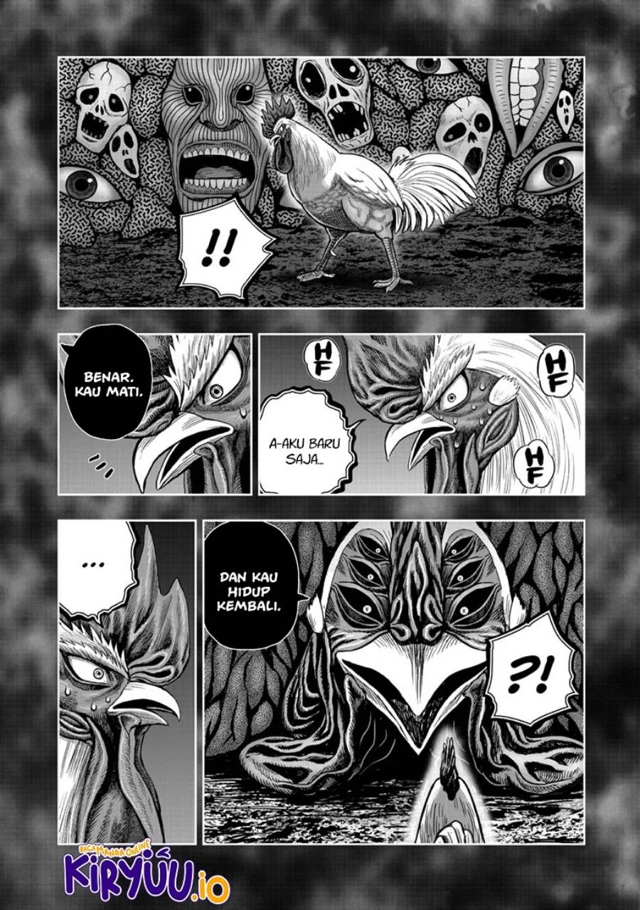 image-komik-rooster-fighter-chapter-49-32/39