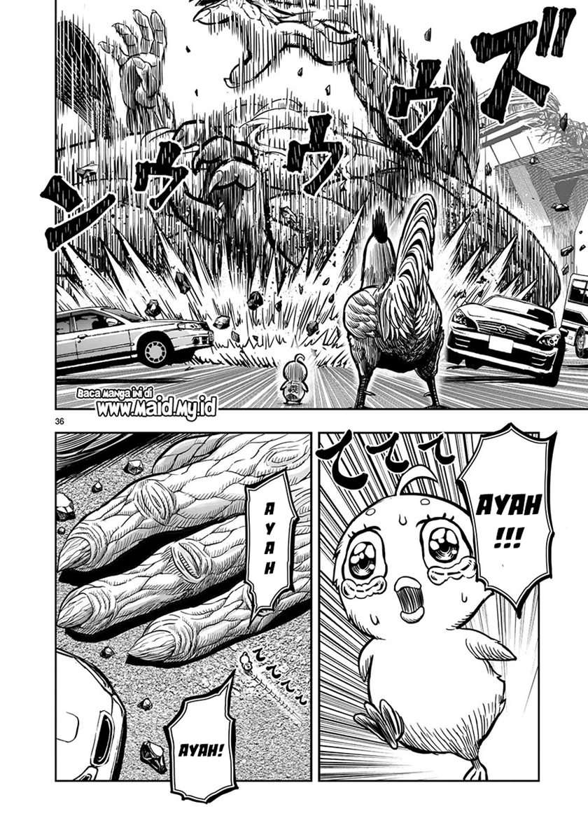 image-komik-rooster-fighter-chapter-5-37/54