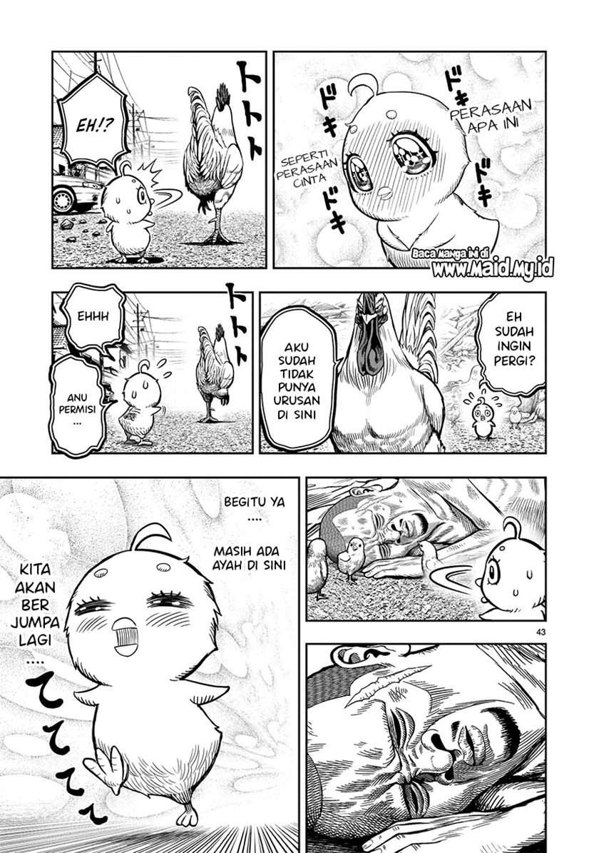 image-komik-rooster-fighter-chapter-5-44/54