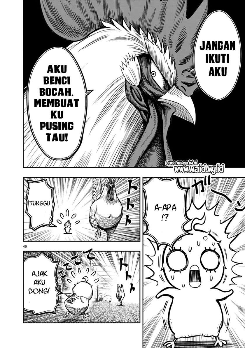 image-komik-rooster-fighter-chapter-5-47/54