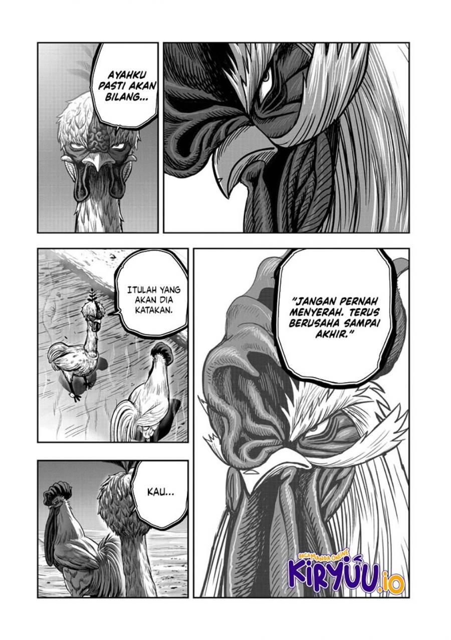 image-komik-rooster-fighter-chapter-50-35/53
