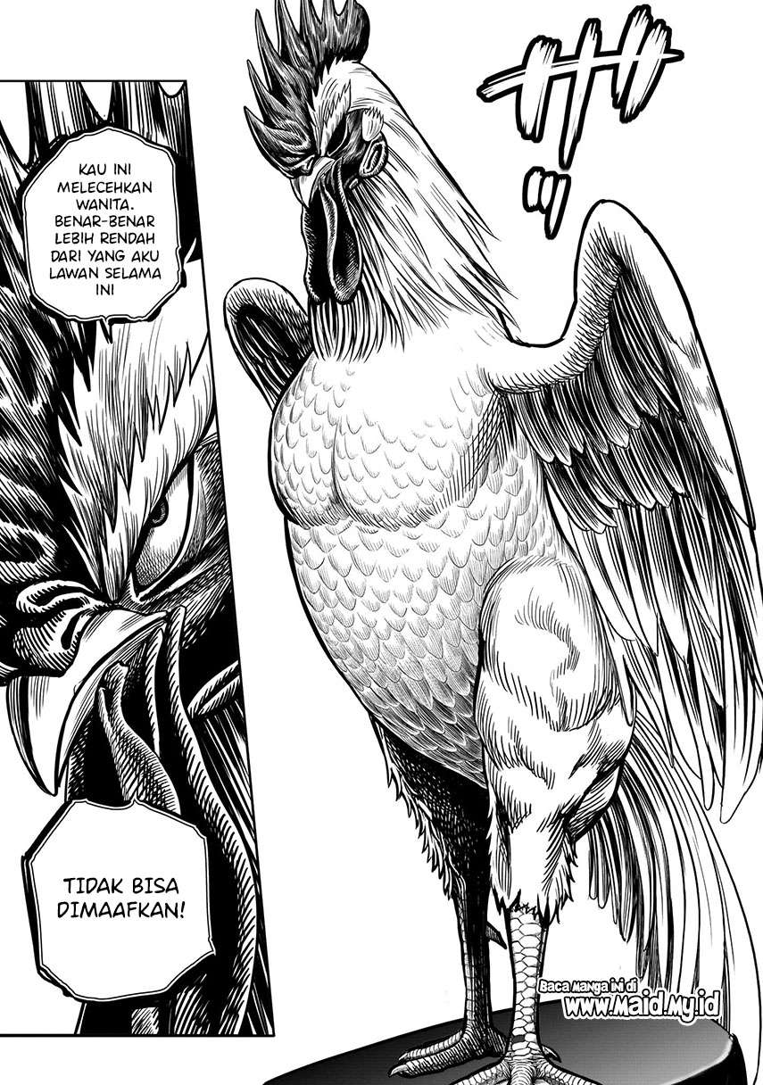 image-komik-rooster-fighter-chapter-6-12/50