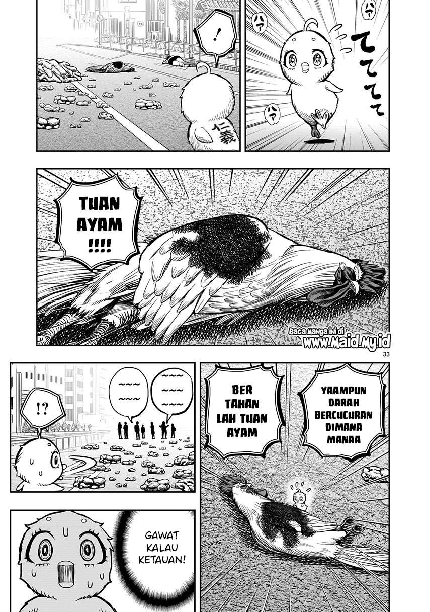 image-komik-rooster-fighter-chapter-6-34/50