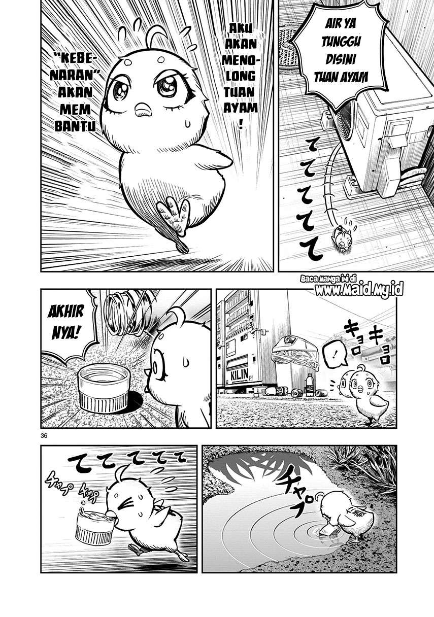 image-komik-rooster-fighter-chapter-6-37/50