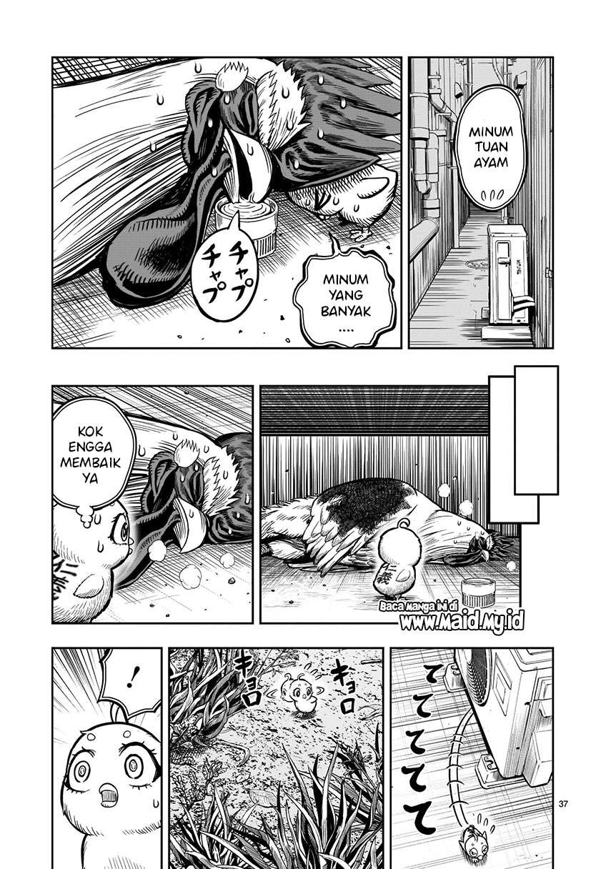 image-komik-rooster-fighter-chapter-6-38/50