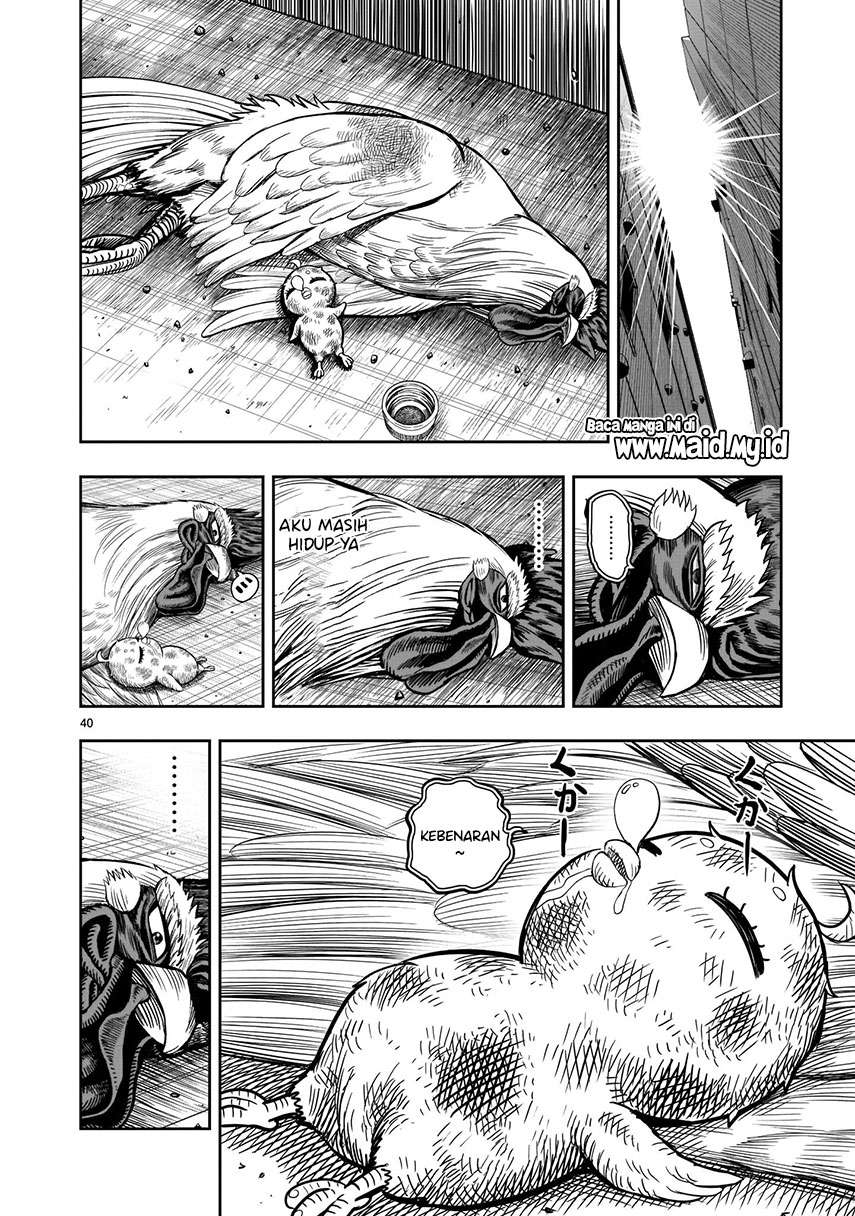 image-komik-rooster-fighter-chapter-6-41/50