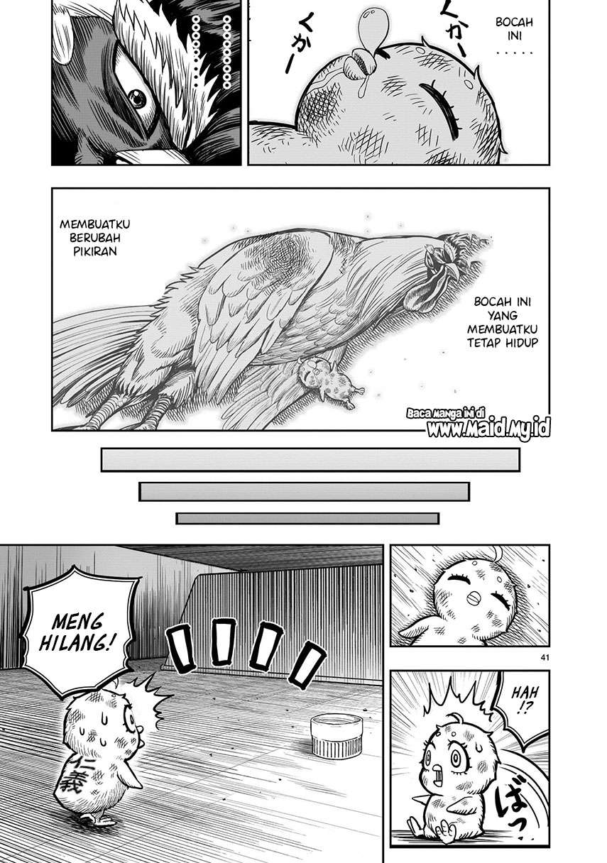 image-komik-rooster-fighter-chapter-6-42/50