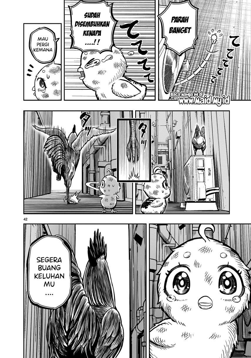 image-komik-rooster-fighter-chapter-6-43/50