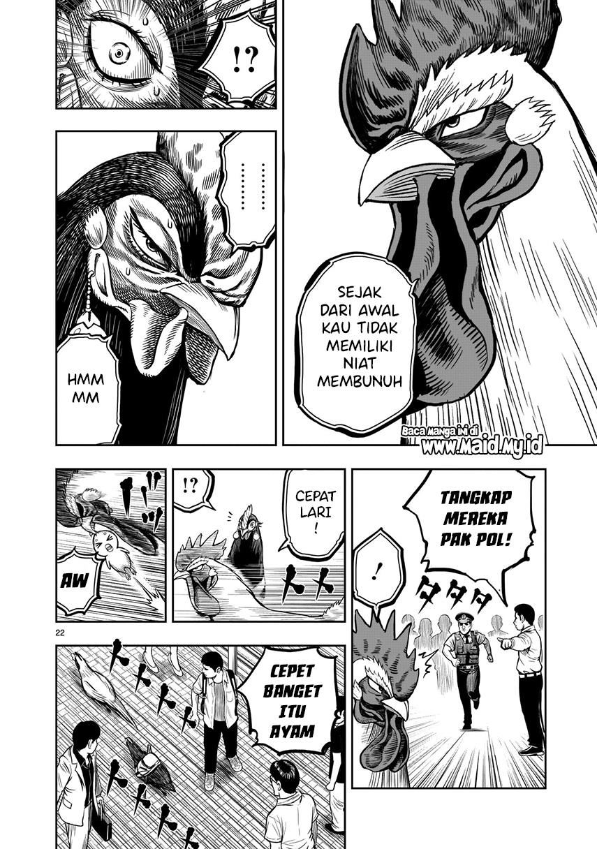 image-komik-rooster-fighter-chapter-7-23/40