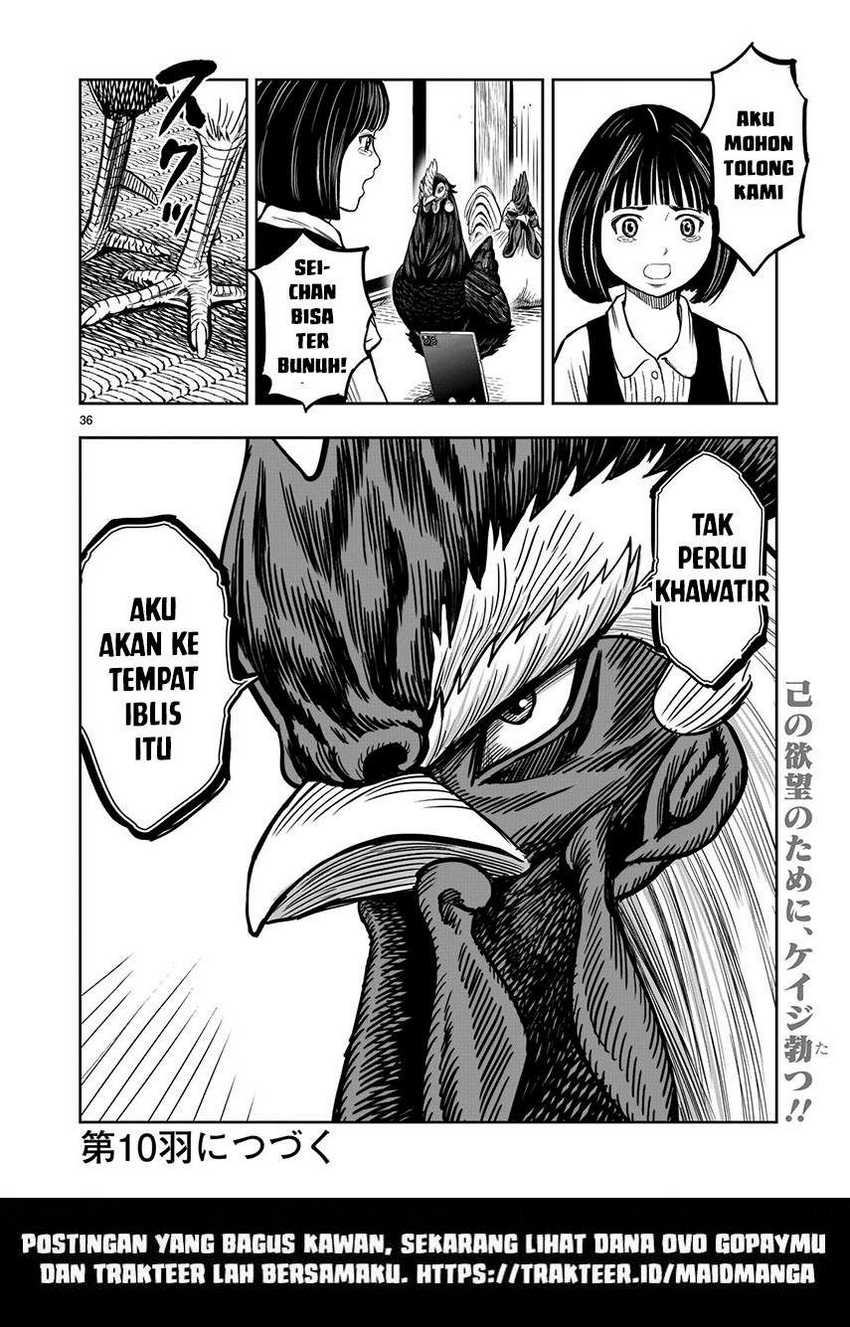 image-komik-rooster-fighter-chapter-9-36/39
