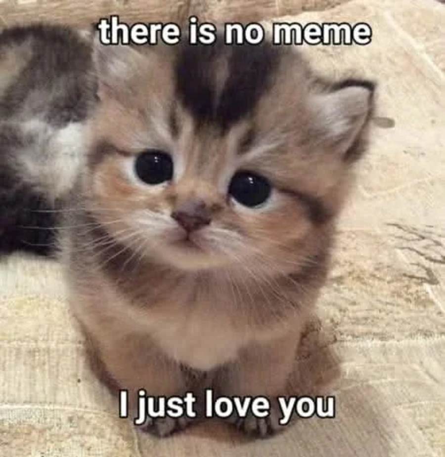 image-komik-shangri-la-frontier-chapter-177-19/22