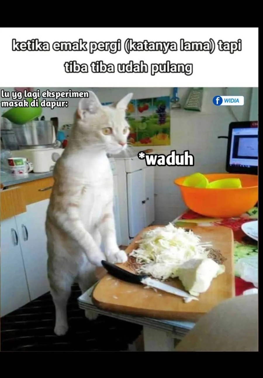 image-komik-shangri-la-frontier-chapter-213-19/22