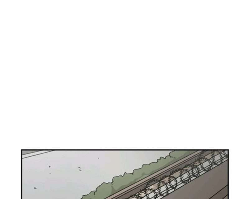 image-komik-shark-chapter-54-4/47