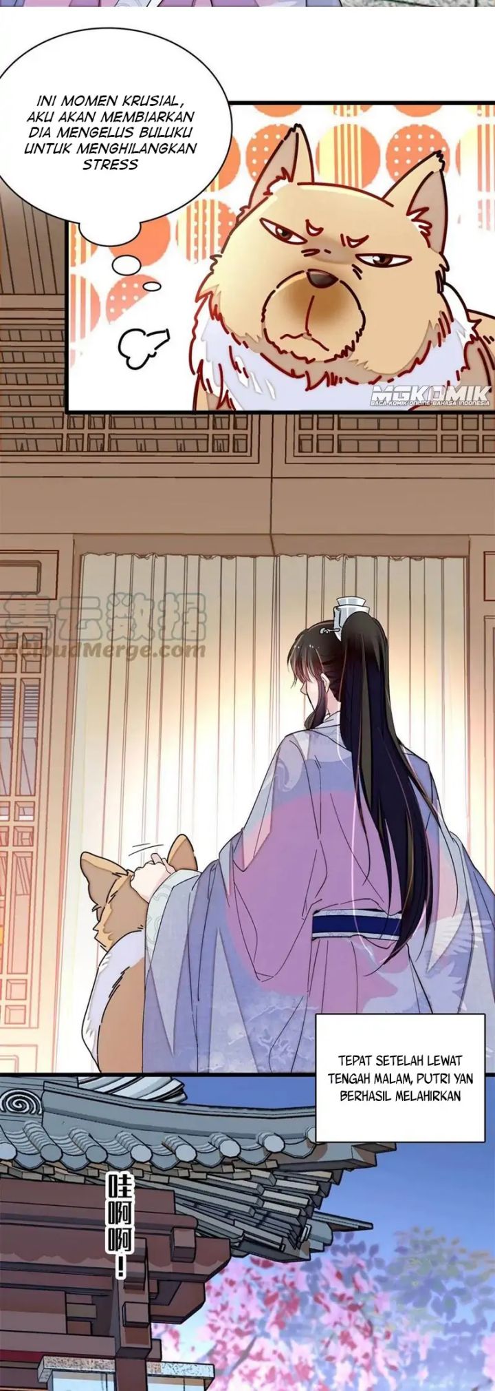 image-komik-sijin-chapter-236-3/25