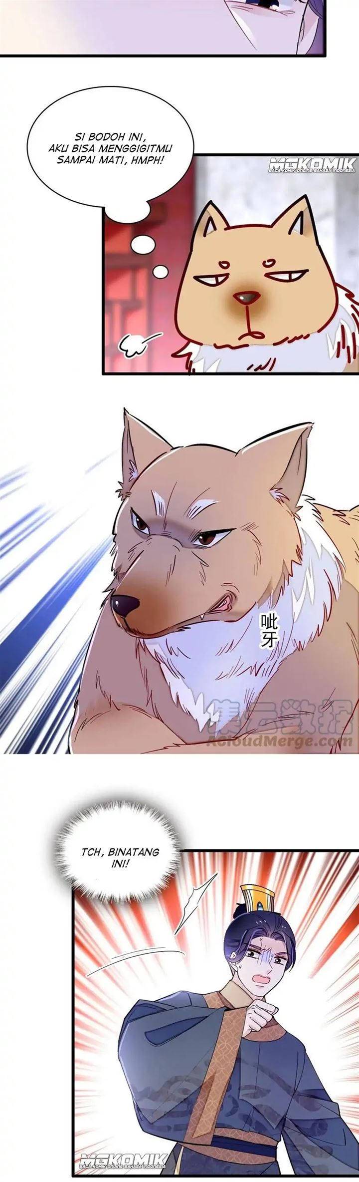 image-komik-sijin-chapter-247-17/20