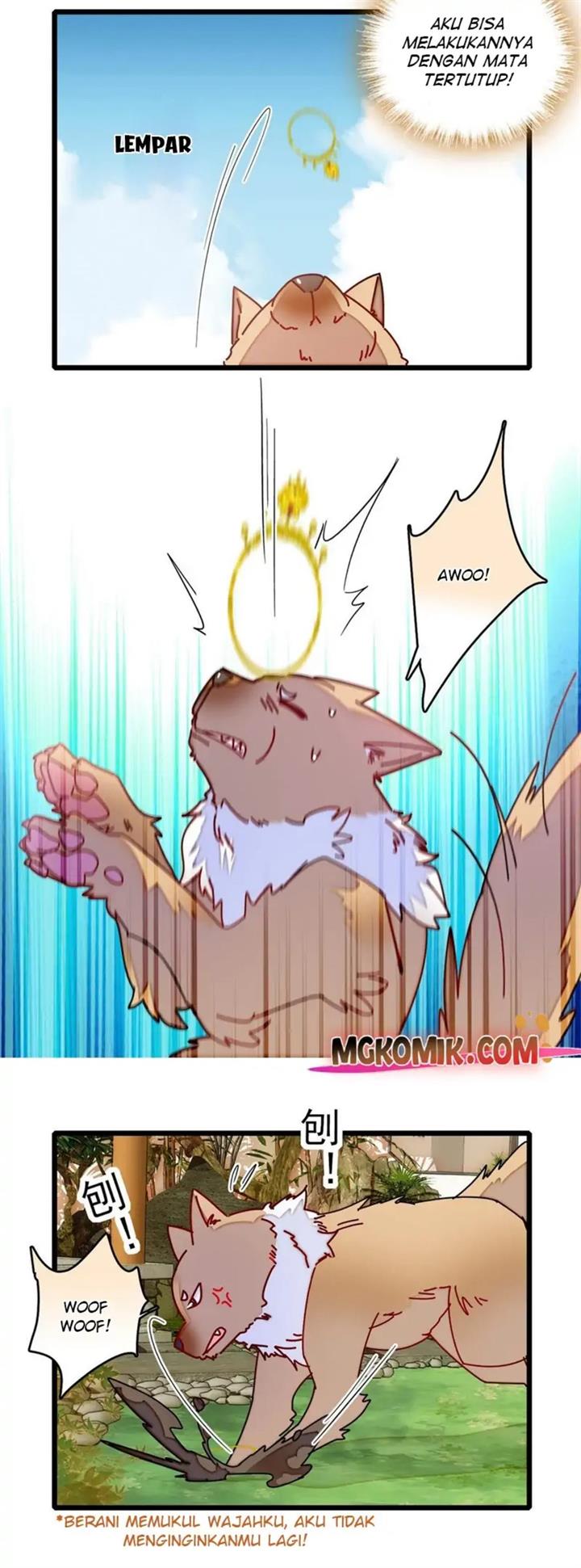 image-komik-sijin-chapter-260-12/25