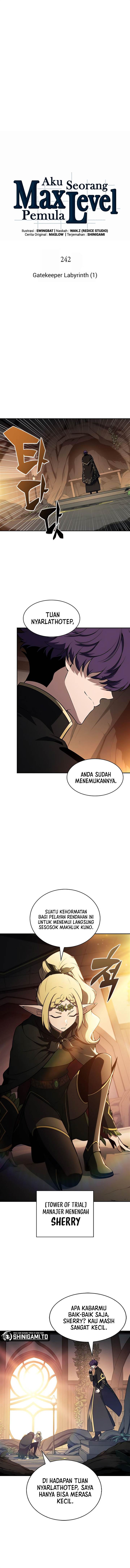 image-komik-solo-max-level-newbie-chapter-242-4/16