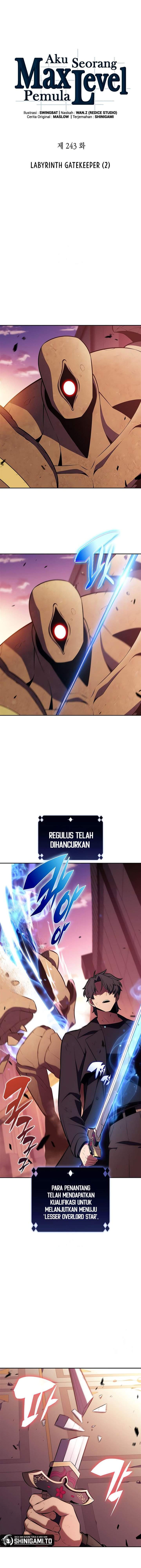 image-komik-solo-max-level-newbie-chapter-243-5/18