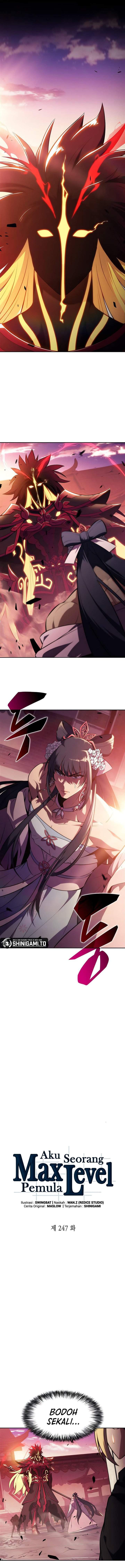 image-komik-solo-max-level-newbie-chapter-247-3/17