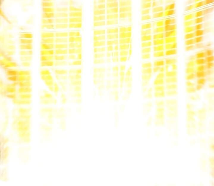 image-komik-sss-class-suicide-hunter-chapter-52-54/57