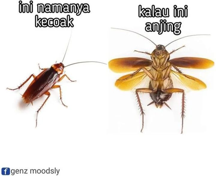 image-komik-start-invincible-chapter-24-10/11