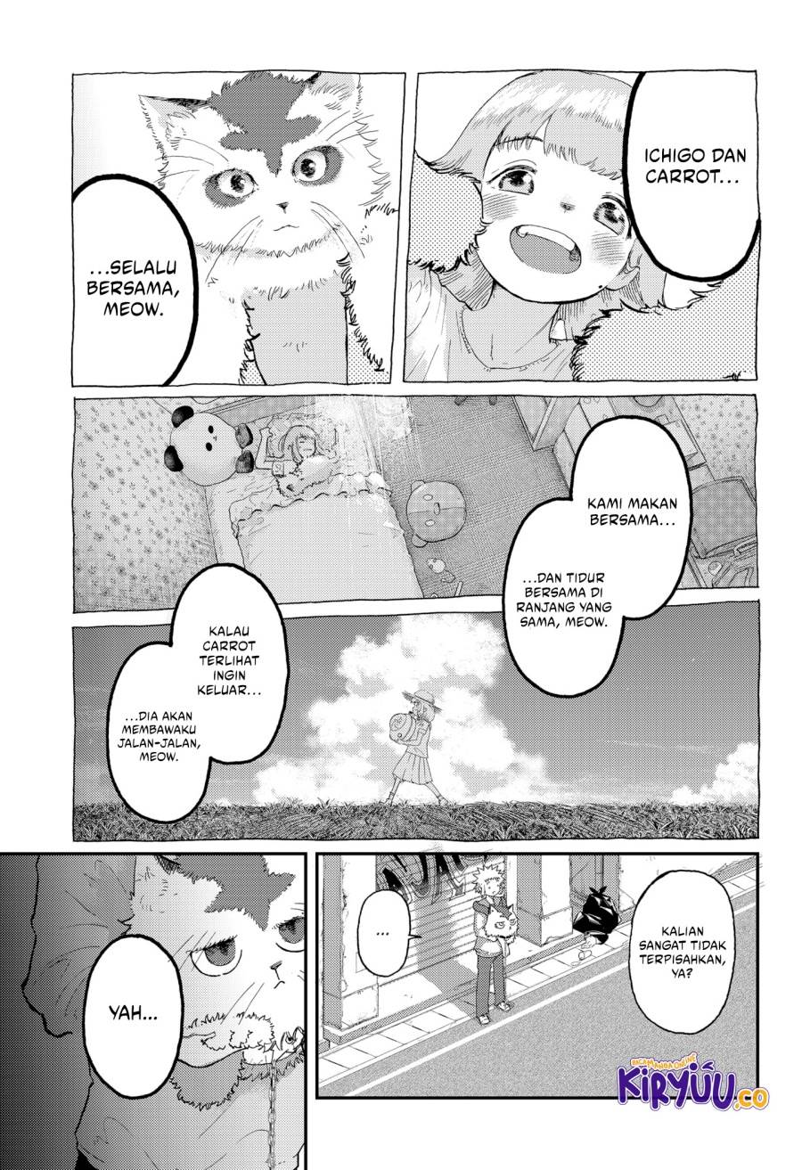 image-komik-stellar-friends-chapter-8-12/19