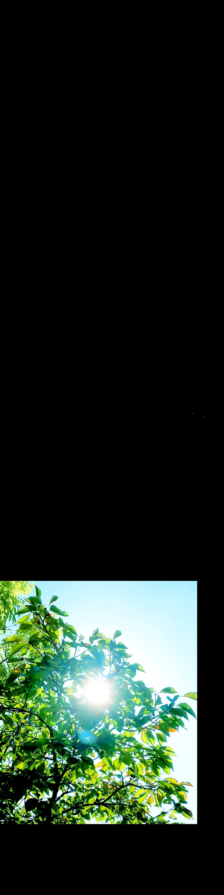 image-komik-story-corruption-chapter-08-8/52