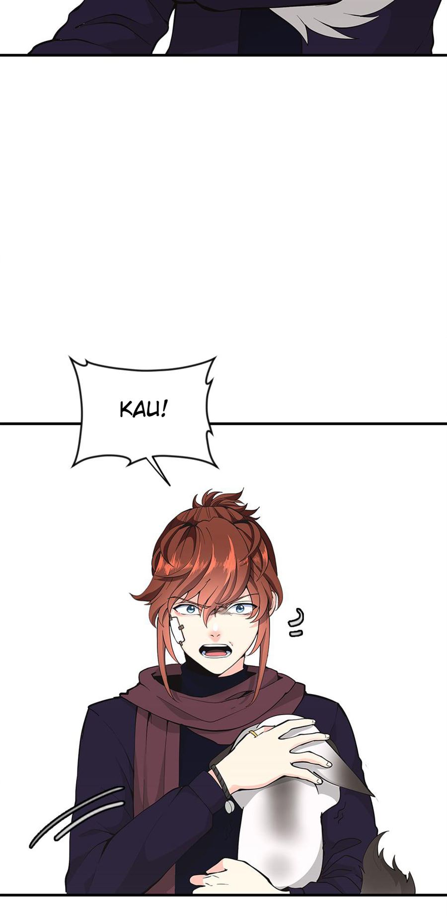 image-komik-the-beginning-after-the-end-chapter-125-55/105