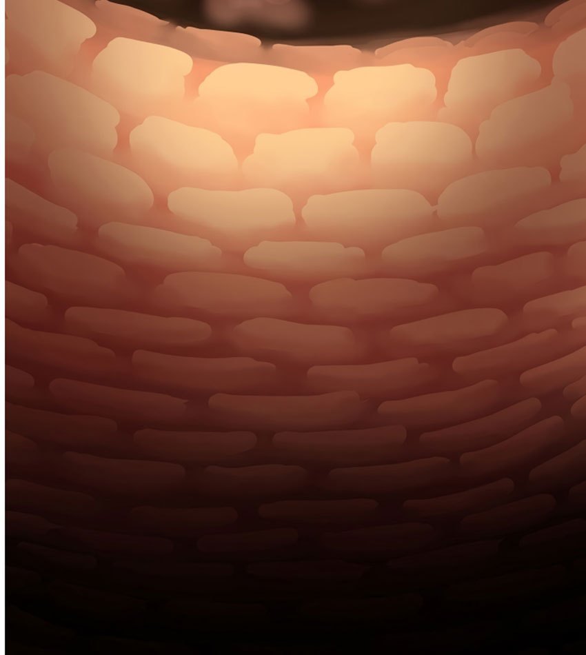 image-komik-the-dungeon-master-chapter-03-44/106