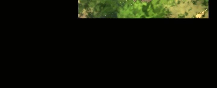 image-komik-the-emperors-sword-chapter-10-33/74