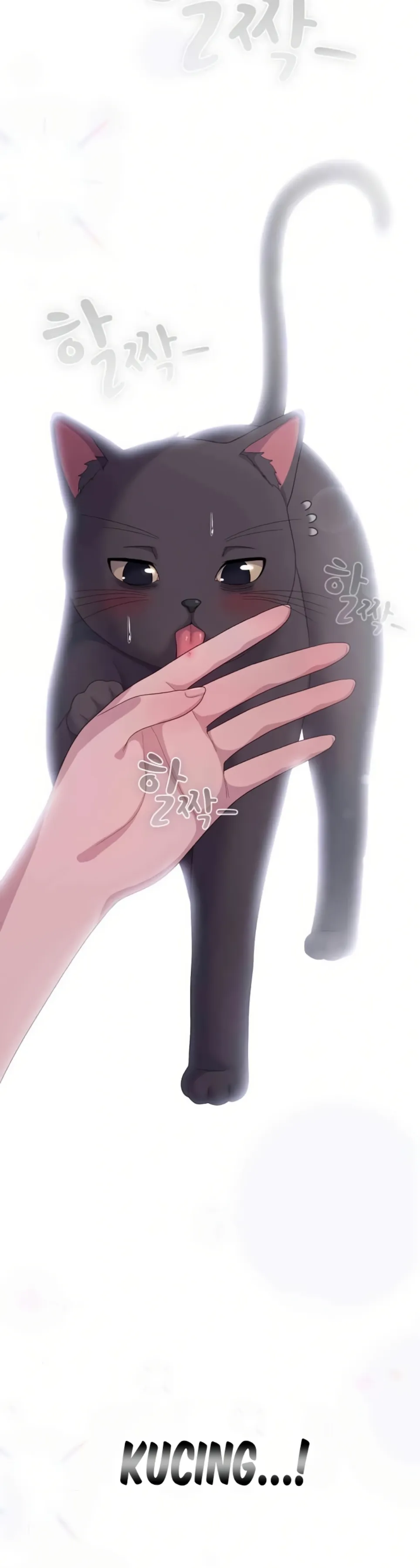 image-komik-the-general-is-here-meowtchmaker-chapter-14-17/46