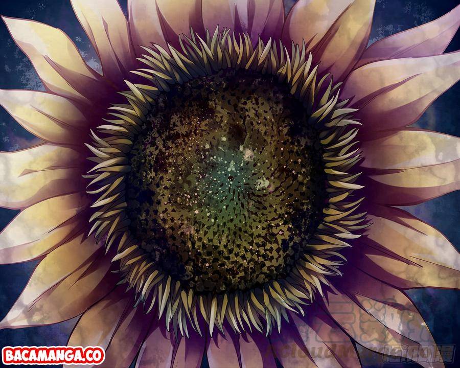 image-komik-the-last-human-chapter-247-12/16