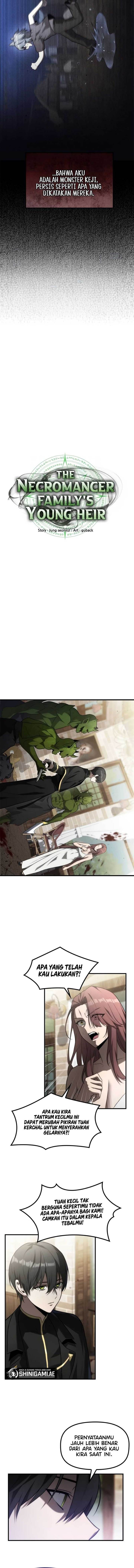 image-komik-the-necromancer-familys-young-heir-chapter-12-8/13