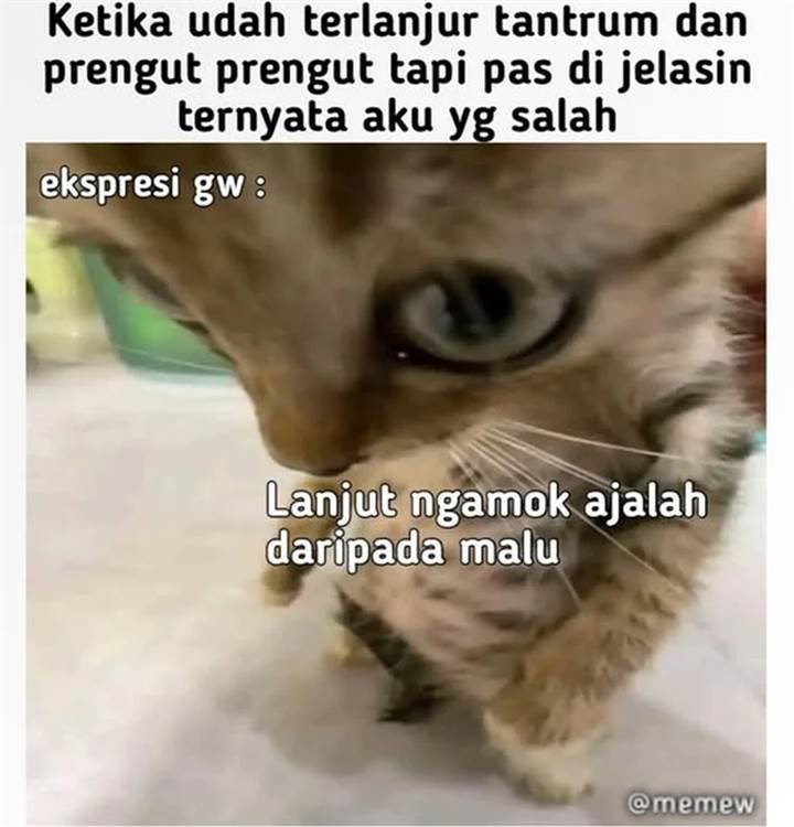 image-komik-the-rebirth-of-the-heros-partys-archmage-chapter-70-12/13