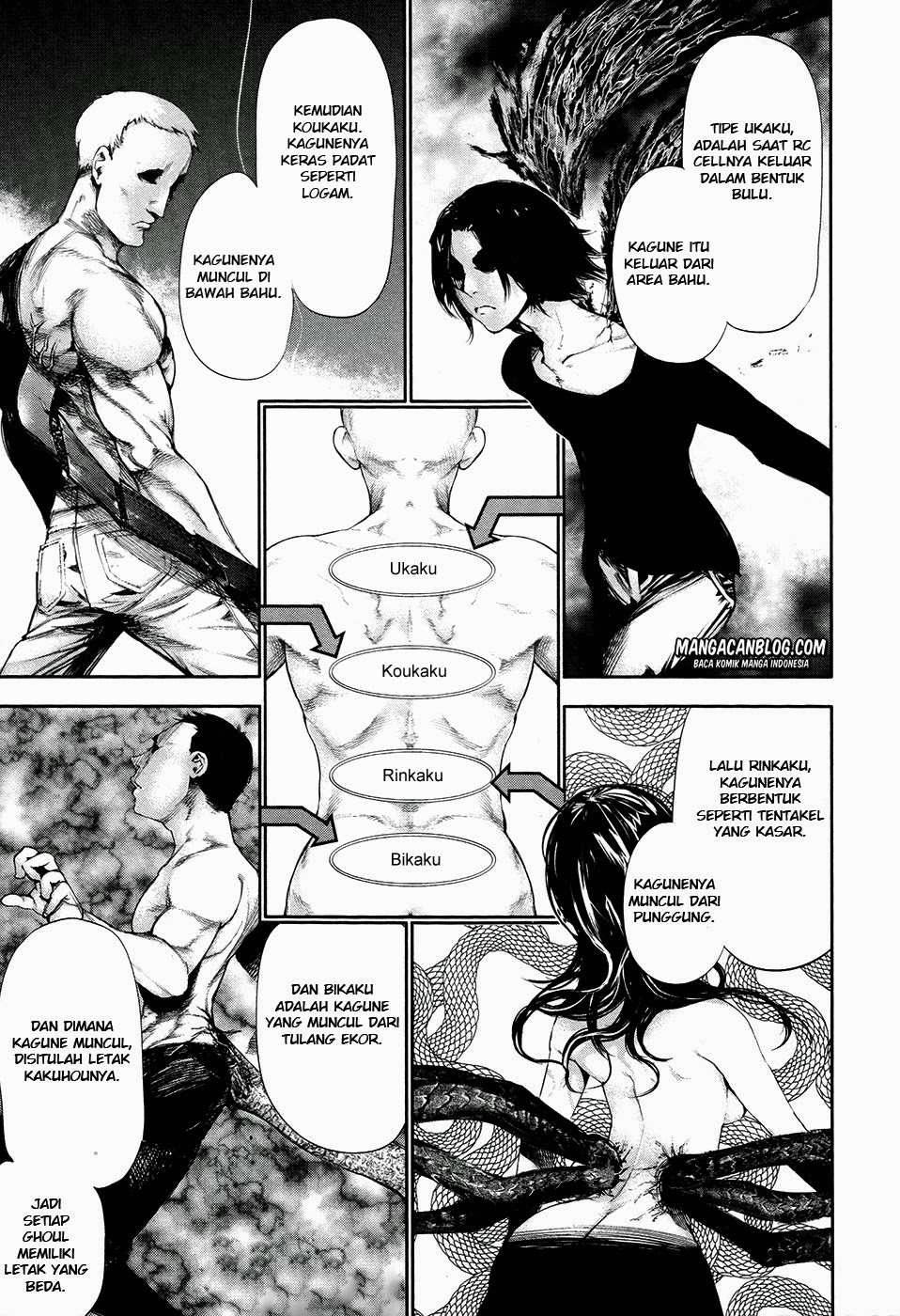image-komik-tokyo-ghoul-chapter-53-10/19