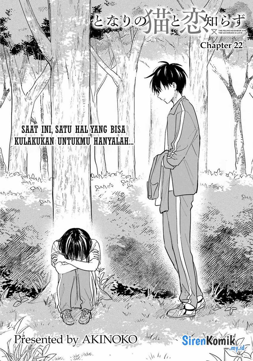 image-komik-tonari-no-neko-to-koi-shirazu-chapter-22-4/32