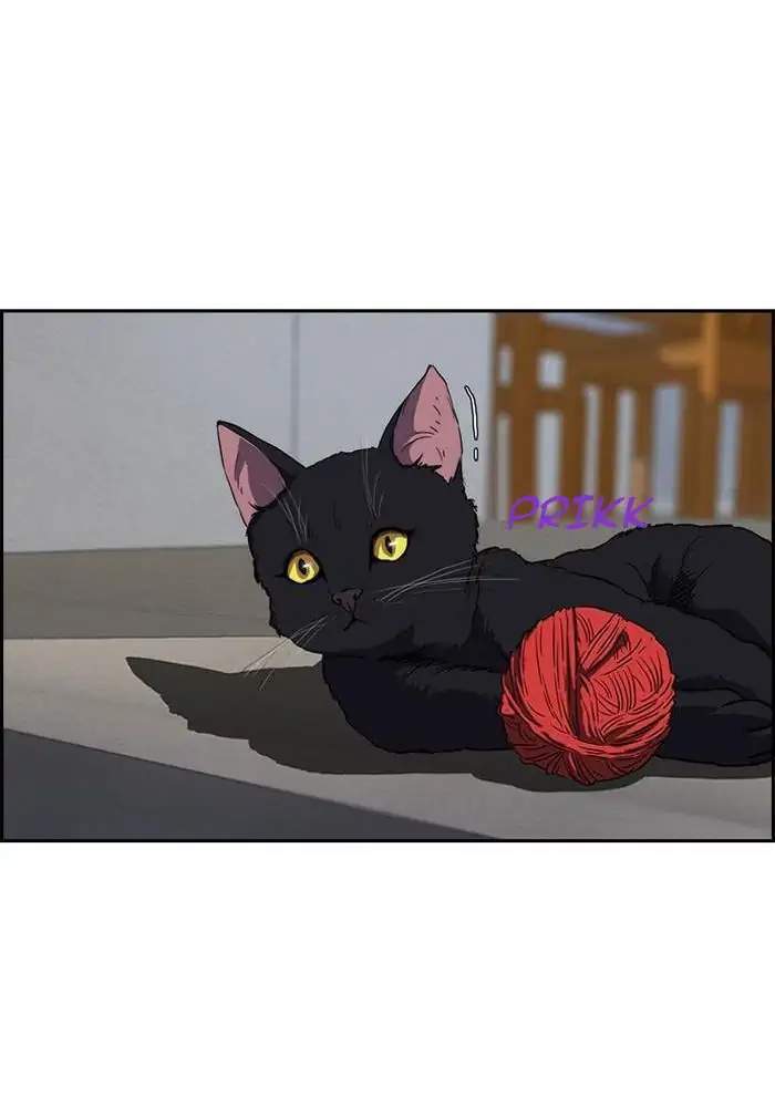 image-komik-wind-breaker-chapter-147-46/60