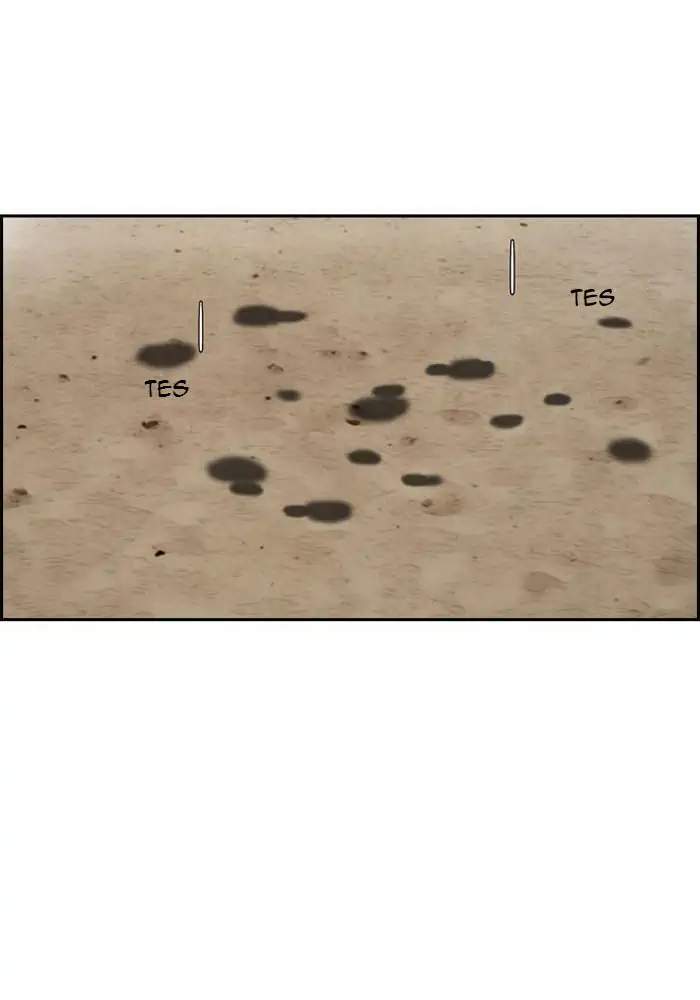 image-komik-wind-breaker-chapter-222-1/99