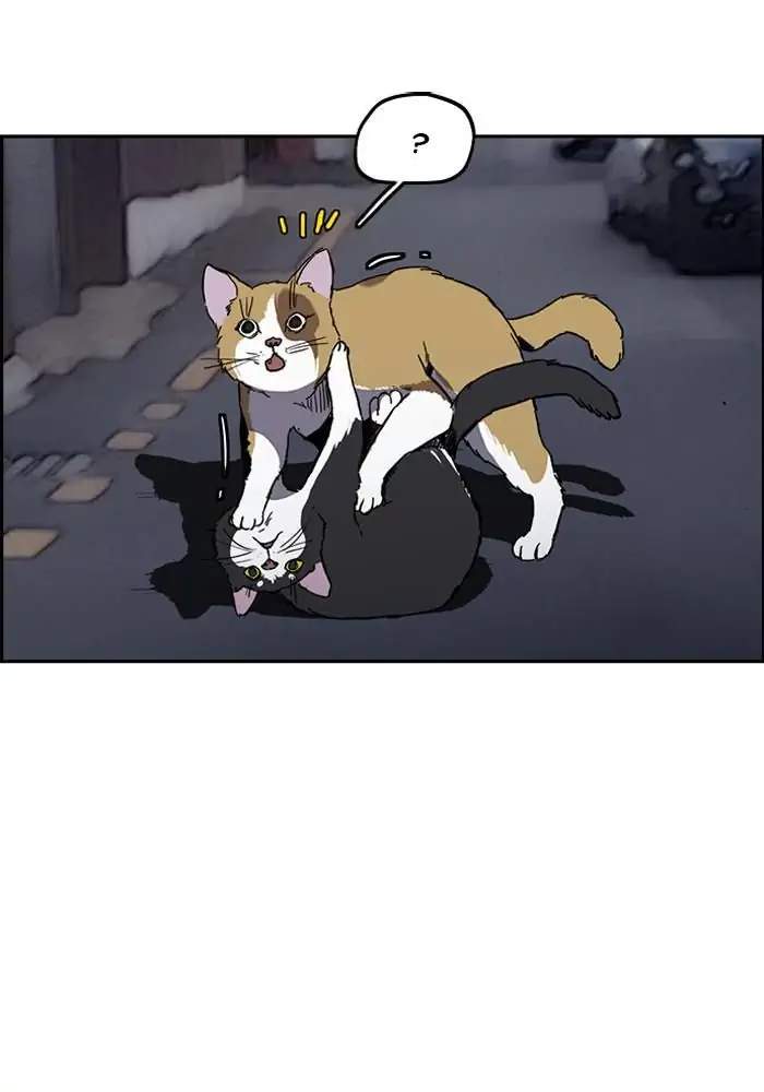 image-komik-wind-breaker-chapter-237-2/92