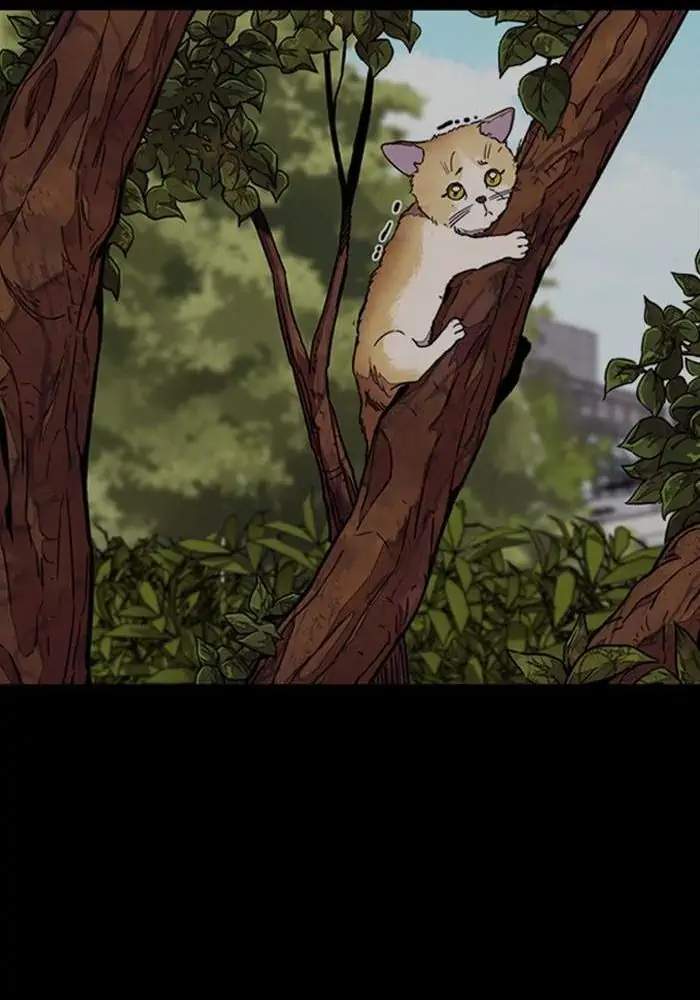 image-komik-wind-breaker-chapter-316-36/124