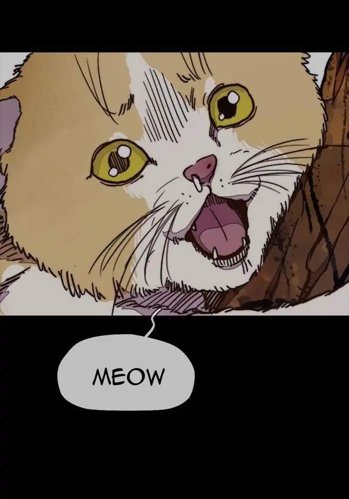 image-komik-wind-breaker-chapter-316-67/124