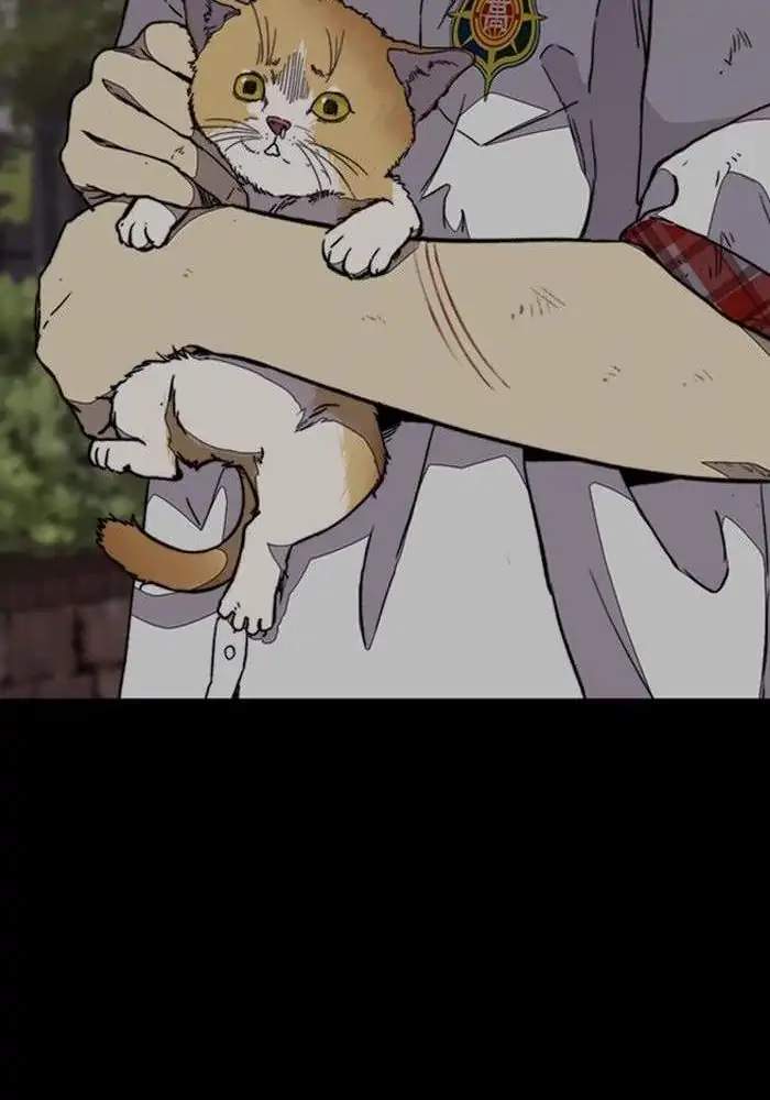 image-komik-wind-breaker-chapter-316-77/124